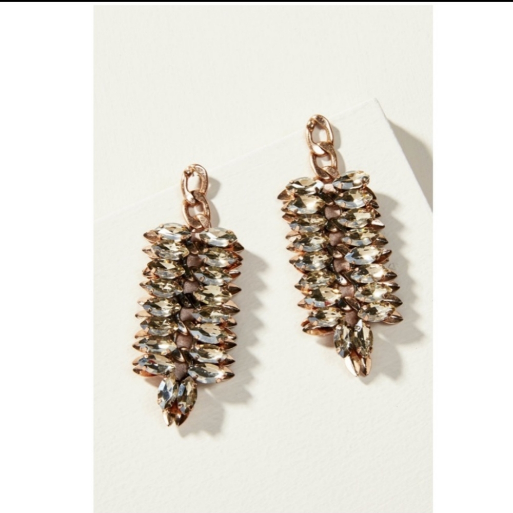 Pegasus Crystal Statement Earrings - image 1